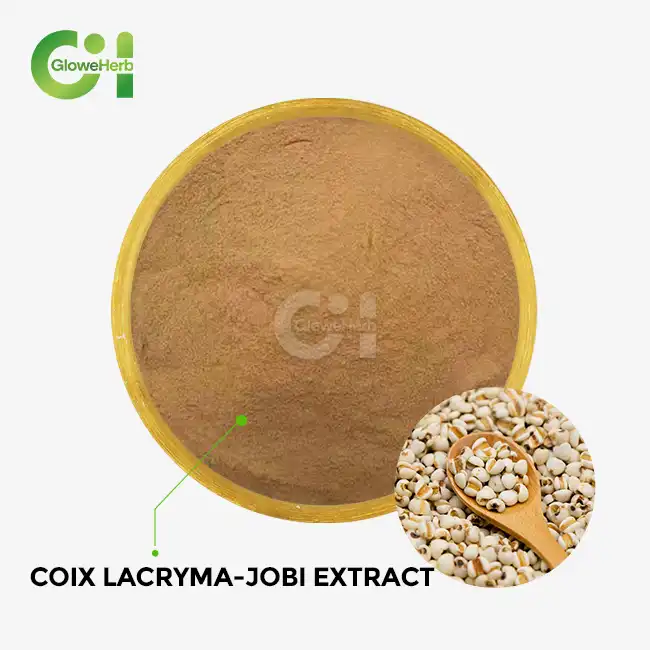 Coix lacryma-jobi extract Coix lacryma-jobi extract